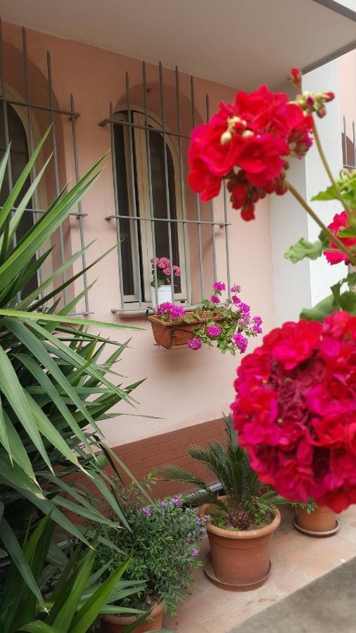 Pellezzano Fiorestella المظهر الخارجي الصورة